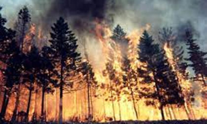 DICHIARAZIONE DI MASSIMA PERICOLOSITA' incendi boschivi dal 08 luglio